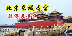 日本美女让男生操的冒水视频中国北京-东城古宫旅游风景区
